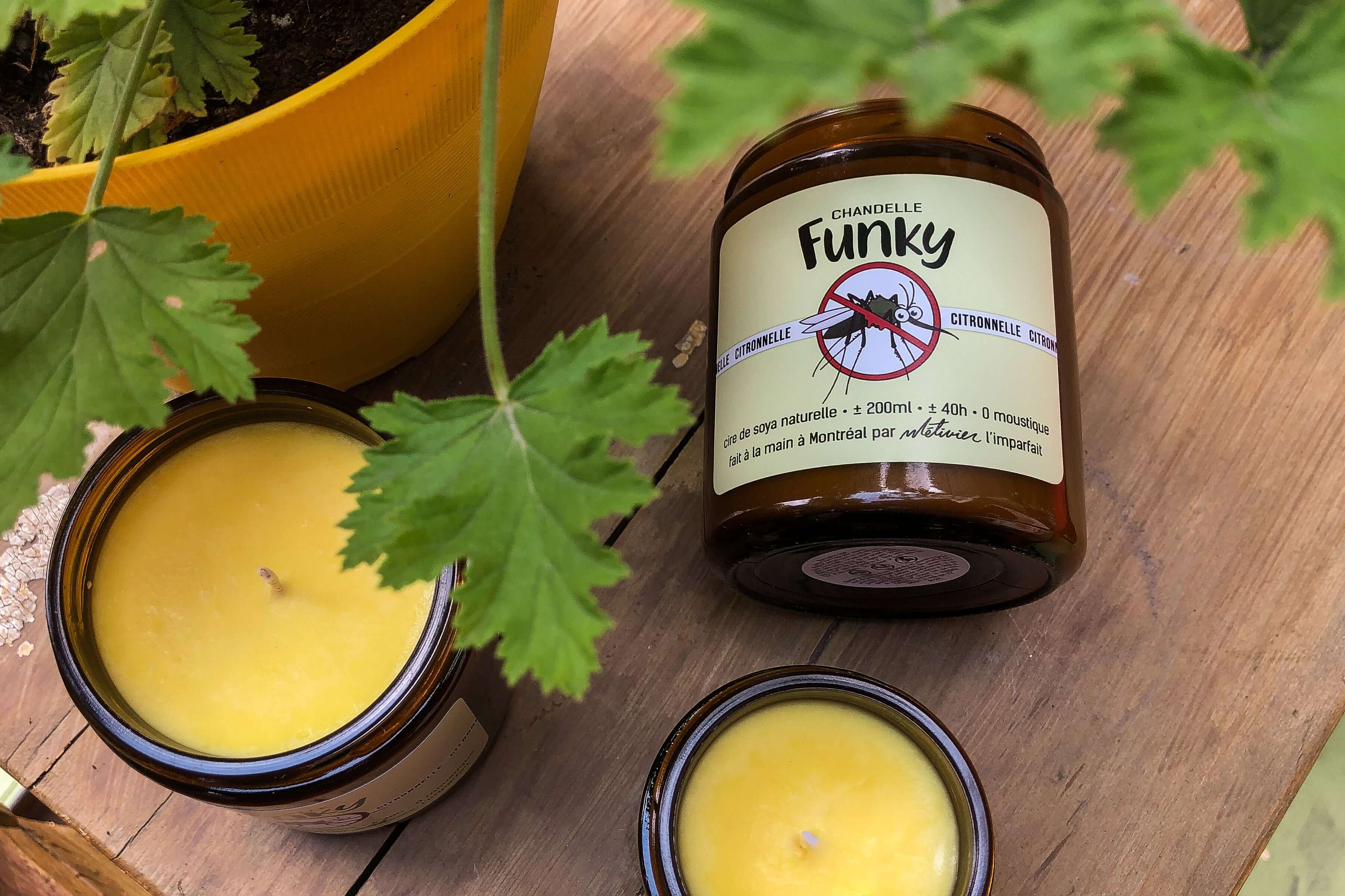 Funky Candles - Mosquito Repellent